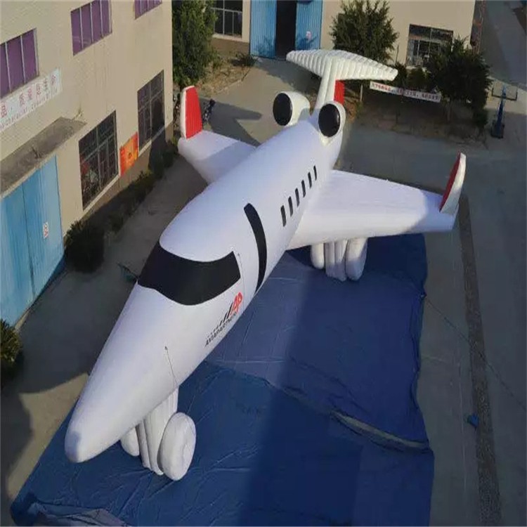 肇庆充气模型飞机